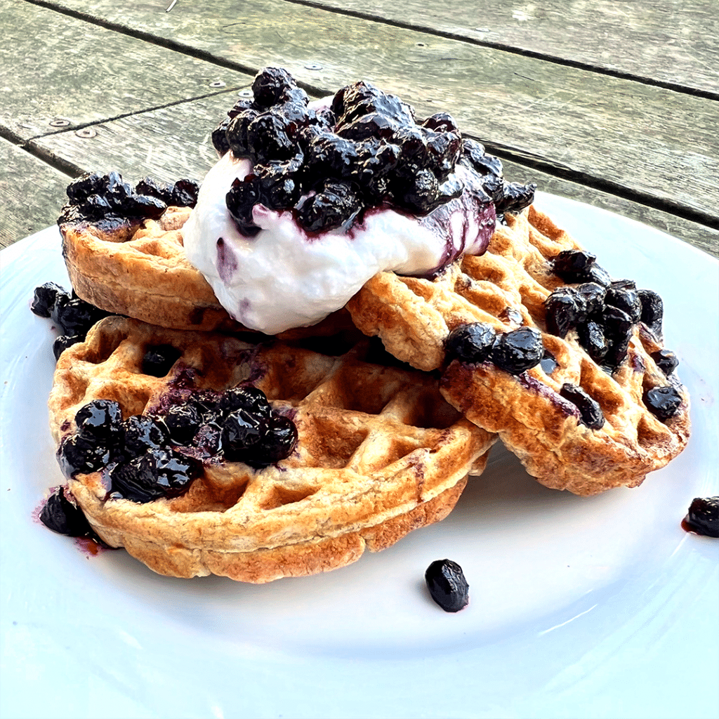 gluten free waffles with sourdough starter