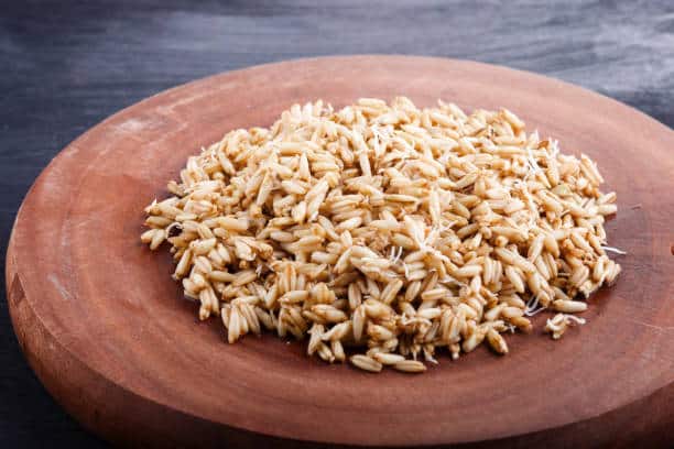 Heap of germinated oats on brown wooden board, close up, side view.